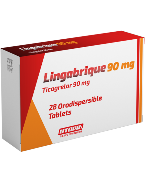 Lingabrique