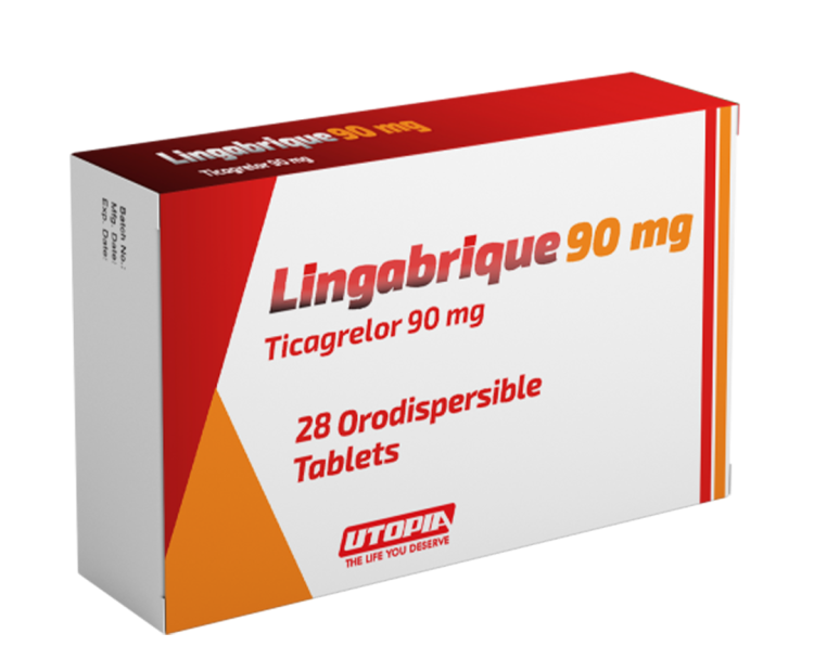 Lingabrique